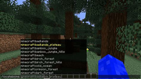 minecraft commands find village